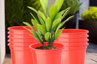 Heart Home(Pack Of 10) Flower Pot | Fuldani Flower Pot (8 Inch) Pots For Home, Terrace, Garden | Phooldaan For Home D�Cor | Synergy Indoor Plant Stand | Pots Stand For Plants | Red