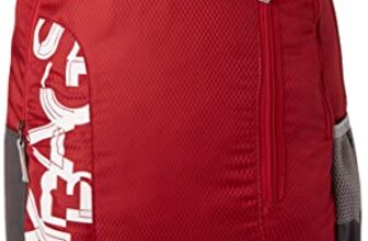 Skybags Brat Wine Red 46 Cms Casual Standard 2 Compartment Backpack, 28 Lt