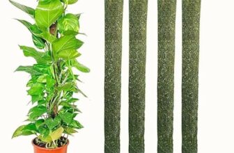 Balaji Creator Green Grass Pole for Plant|| Moss and Coir Stick 3FT|| Money Plant Support 3FT Set of 4 (90 CM)