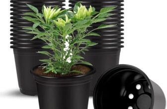 Plastic Flower Pots 3 Inch | Black Nursery Plant Pots for Indoor & Outdoor Gardening | Lightweight, Durable Pots with Drainage for Seeds, Succulents & Saplings | Pack of 40