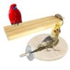 Sage Square Bird Wooden Circle & Stand Platform Combo of Two (2 * 5.5 & 4 inches) Rectangle & Cirle Shaped Perch Stand, Cage Accessories Playful Toy, Suitable for Birds, Parrots, Budgies