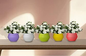 TrustBasket Adam Self Watering Pot (Set of 5)| Window Plant Pot for Home Decor