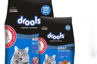 Drools Adult Dry Cat Food (2.8kg+1kg) 3.8kg | Tuna & Salmon | Better Vision & Shiny Coat | Complete Nutrition | No Preservatives
