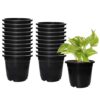 Amazon Brand – Solimo 100% Virgin Plastic Round Nursery Planter Pot | Indoor and Outdoor Flower Pot for Home/Office/Table/Garden/Balcony Decoration | 6 inch, Set of 20 | Black