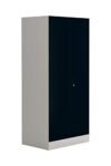 Interio by Godrej Slimline 2-Door Steel Almirah