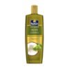 Parachute Advansed Olive Enriched Coconut Hair Oil for Stronger Nourished Hair | Ultimate nourishment with Olive | Coconut for strengthening the hair | Upto 10x less hair fall and 90% stronger hair- 100 ML