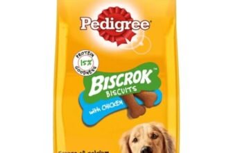 Pedigree Biscrok Biscuits (Above 4 Months) Dog Treats, Chicken Flavour, 900 g, Source of Calcium, Goodness of 15% Protein