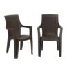 Nilkamal Mystique Plastic Chair with Armrest | Set of 2 | 3 Year Warranty | Heavy Duty Chair for Home, Living Room, Dining Room, Bedroom & Office | Stackable Polypropylene |Outdoor & Garden Use | SRB