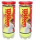 Wilson Championship Synthetic Tennis Balls|2 Can|6 Balls(3 Balls/Can) (Yellow)