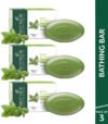 BIOTIQUE Parsley Revitalizing Bathing Bar 150g x 3(3 x 150 g)