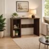CABPRO DIY Engineered Wood Computer Table with Storage Shelves – Medium Study Desk for Home Office, Bedroom & Workspace (75 x 100 x 45 CM)
