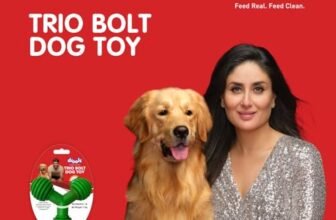 Drools Non-Toxic Rubber Toy for Dogs, Trio Bolt Ring 115g Pack | Non Destructive Chewing | Enhance Dental Health | Helps in Weight Management