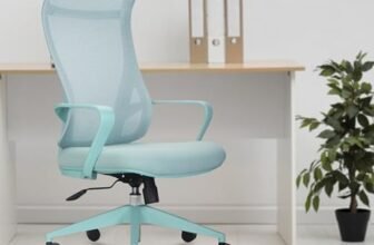 INNOWIN Flamingo High-Back Ergonomic Home Office Chair | 3-Years Limited Warranty Included | Tilting & Height Adjustable Mechanism, Heavy Duty Metal Base | Ideal for Office Work & Study (Mint Green)
