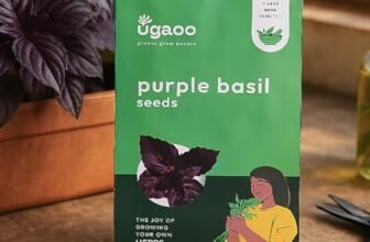 UGAOO Purple Basil Herb Seeds (Purple, Pack of 1000)