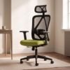 DROGO Ergonaut Ergonomic Office Chair for Work from Home | Computer Chair with 2D Headrest, Armrests & Adjustable Lumbar Support | Breathable Mesh with 120° Recline, 1-Year Warranty (Black & Green)