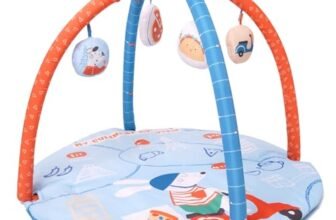 TIDY SLEEP Baby Play Gym | Activity Play Gym with 4 Detachable Toys, | Foldable & Travel-Friendly (Delicious Tour), Multicolor, 1 Count