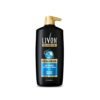 Livon Hyaluron Shampoo for Women & Men | Hydrates Dry & Dull Hair | 2x Soft & Shiny Hair | No Parabens | 1L