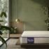 Scotch-Brite Microfiber Scrubby Kitchen Wipe, 36x30cm and Kitchen Gloves Large (Multicolour, H18-6037)
