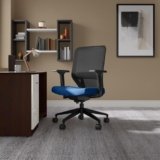 Interio by Godrej Greta Mid Back Black Body Fabric Ergonomic Chair (Royal Blue)
