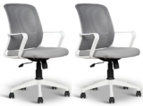 NGFC Mesh Mid Back Ergonomic Work from Home Office Desk Chair, Study Chair, Revolving Chair, Computer Chair, Ergonomic Lumbar Support, Tilt Lock Mechanism (2, Grey & White)
