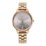 Titan Neo Quartz Analog Grey Dial Rose Gold Metal Strap Watch for Women