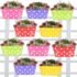 AIRODO Air Room Freshener Power Pocket Gel, Fragrance Booster, Lasts Upto 30 Days, Skin Friendly, Home Fragrance Fresh Scents for Bathroom, Toilet, Living Room, Office (Floral Crush, Pack of 12)