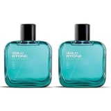 Wild Stone Edge EDP Premium Perfume for Men, 100 Ml | Long-lasting Eau De Parfum | Luxury Fragrances | Fragrance for Modern Lifestyle | Ideal Gift For Him | Premium Scent For Men