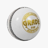 Dsc 1500307 Leather Cricket Ball, Size Club (White)