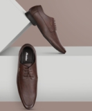 Bata Vittal Derby For Men(Brown , 7)