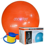 Cockatoo Anti Burst Gym Ball Gym Ball(With Pump)