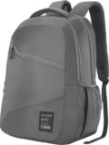 Kamiliant by American Tourister VECTOR X 30 L Laptop Backpack(Grey)
