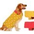 Aristo Swift Plastic Storage Container 300ml – Set Of 3 -Color May Vary