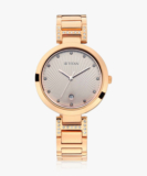 Titan Ladies Purple Sl Analog Watch  – For Women